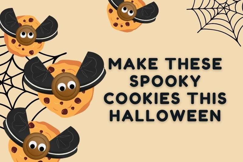 cartoon of a cute bat with chocolate chip cookies